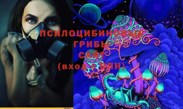 скорость Алзамай